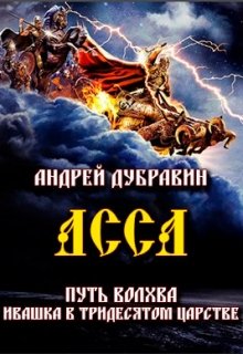 Ивашка в тридесятом царстве Книга 5: Асса — Андрей Дубравин