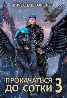 Прокачаться до сотки 3 — Вячеслав Соколов