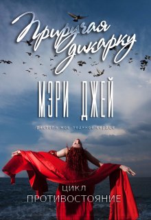 Приручая Дикарку — Мэри Джей (Mary J)